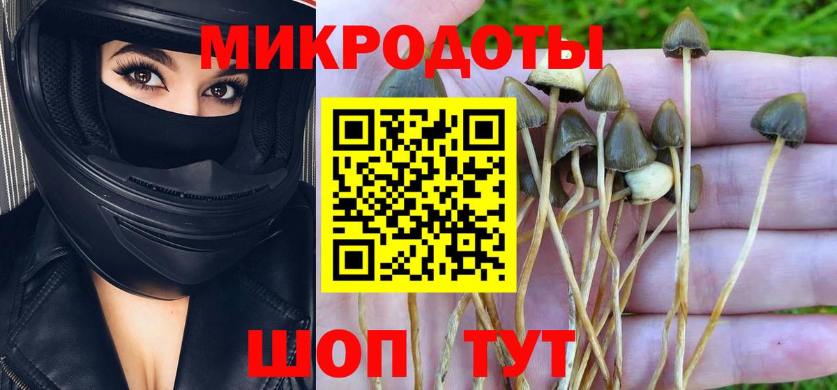 Псилоцибиновые грибы Psilocybine cubensis  где можно купить   Вход с VPN  Усть-Джегута  Псилоцибиновые грибы MAGIC MUSHROOMS 